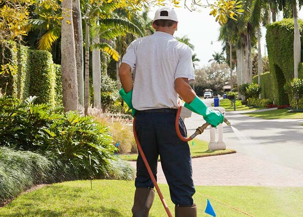 About Castleton VT Pest Control Pros